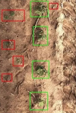 8.png