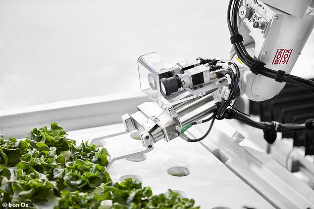 美农业公司开售机器人种植蔬菜